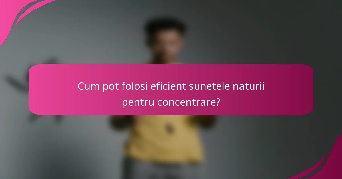 Cum pot folosi eficient sunetele naturii pentru concentrare?